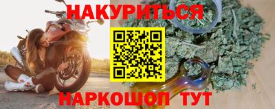 сатива Бийск
