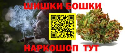 сатива Бийск