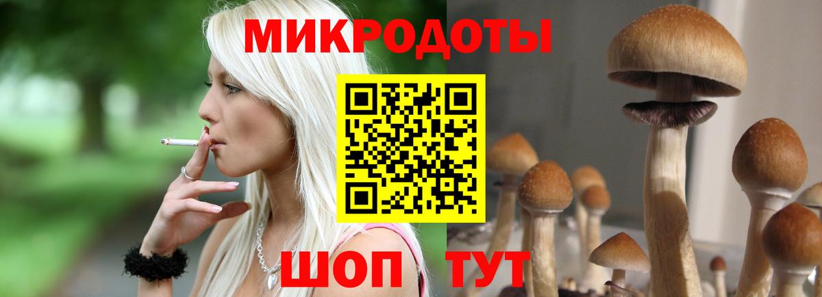 Галлюциногенные грибы Cubensis  Галлюциногенные грибы GOLDEN TEACHER  Вход с VPN  Карачаевск 